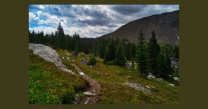 State park | Park Hills Chevrolet in Park Hills, MO